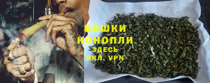 OMG онион  где найти наркотики  Верея  Конопля THC 21% 